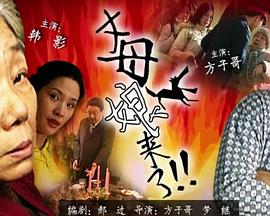 欧美日韩中文字幕不卡电影网